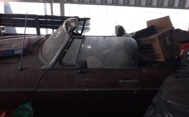 78amp79-convertable-mgs-1978-1