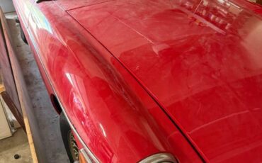 79-mg-1979