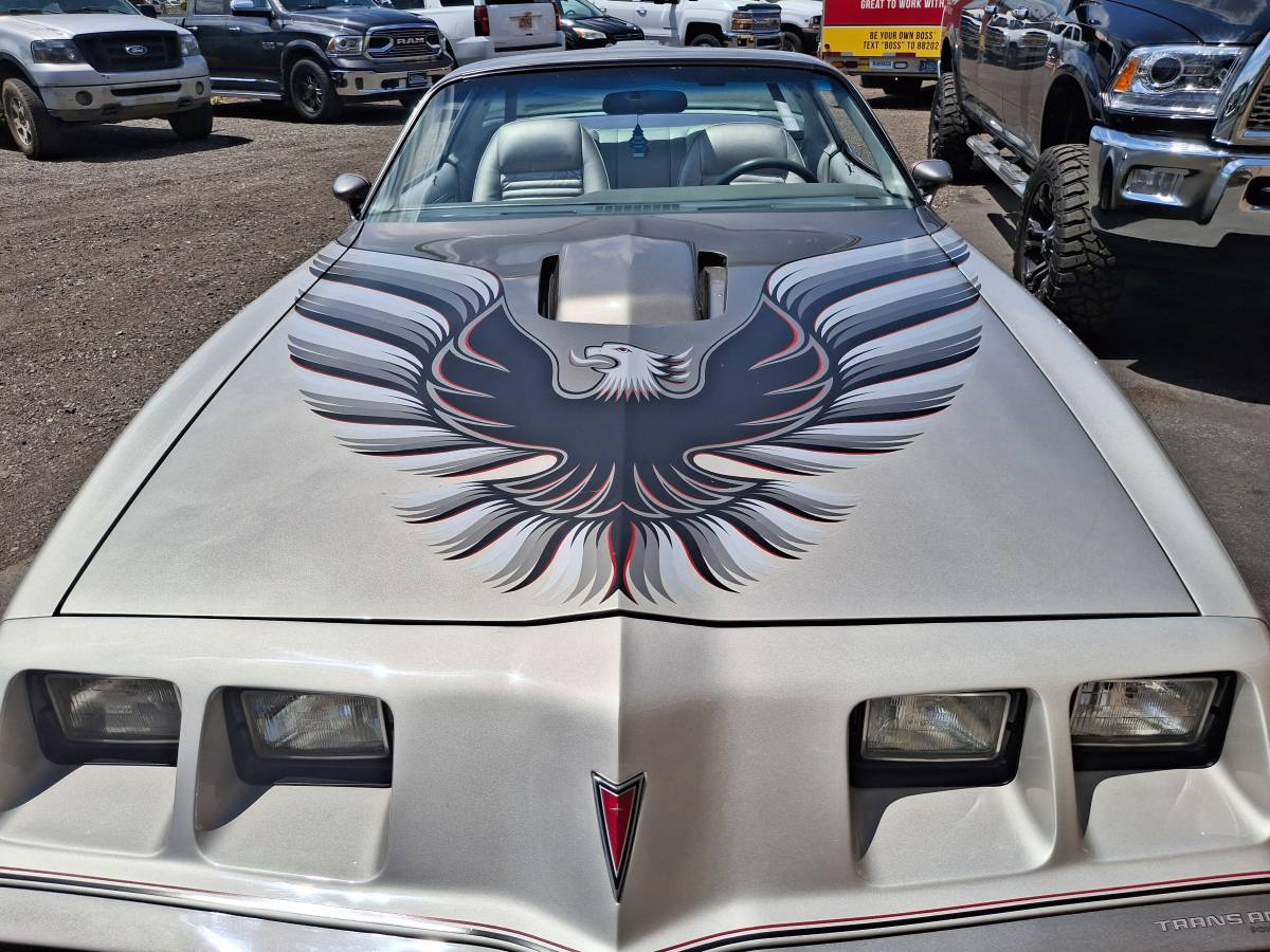 79-trans-am-1979-silver-5