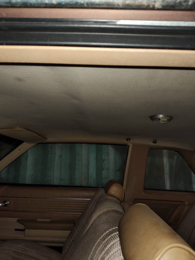 81-chevy-1981-11