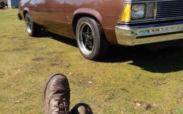 81-chevy-1981
