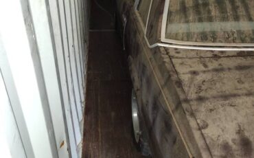 81-chevy-1981-4