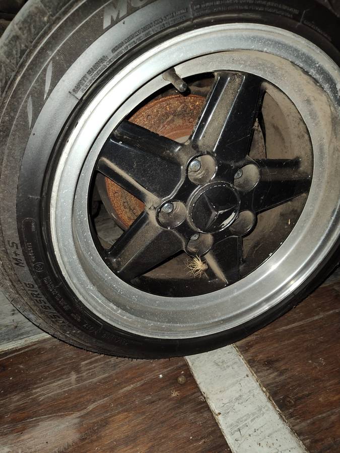 81-chevy-1981-6