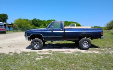 81-gmc-1981