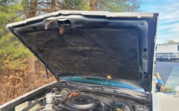 86-buick-regal-diesel-1986-white-12