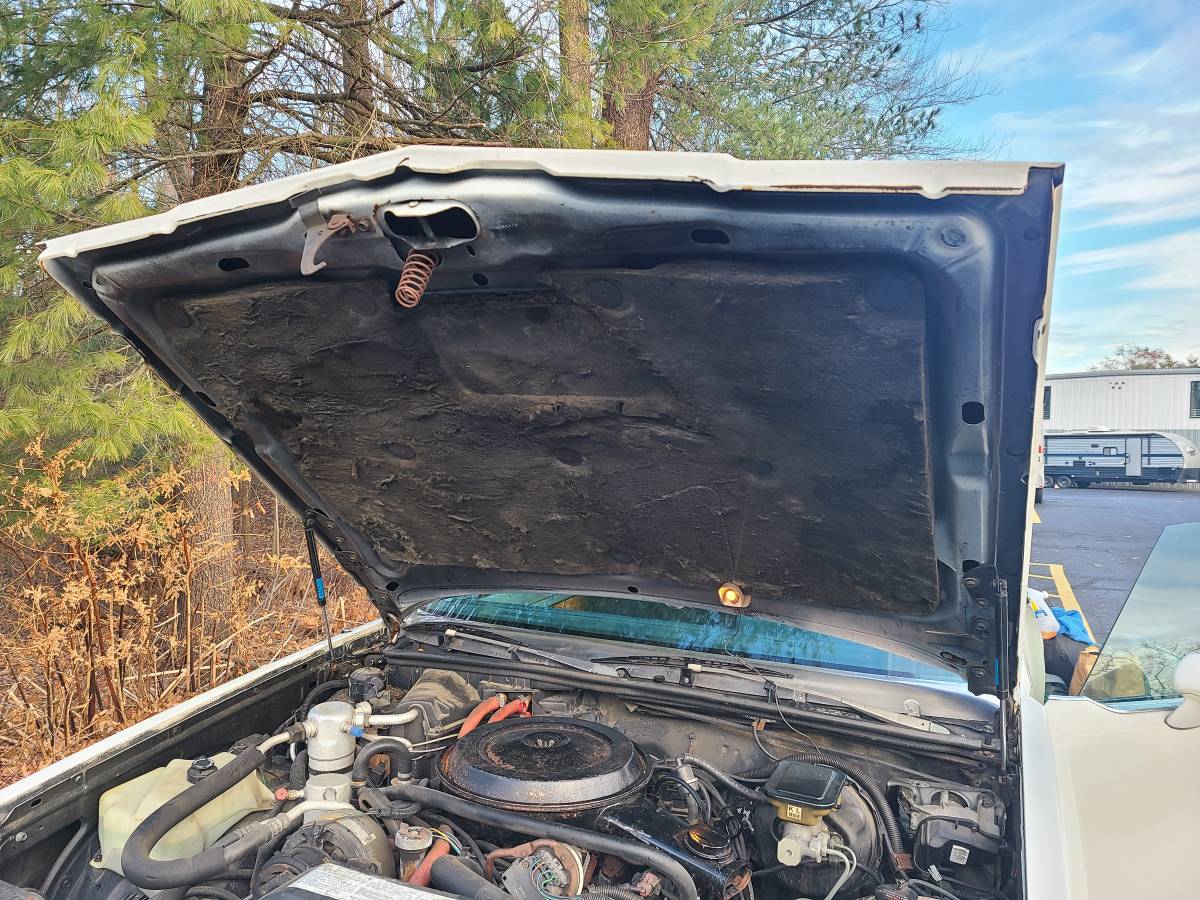86-buick-regal-diesel-1986-white-12