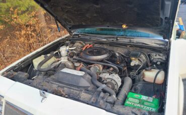 86-buick-regal-diesel-1986-white-14