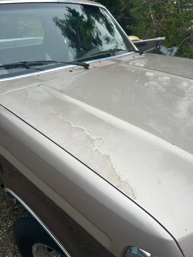 93-ford-f-250-1993-brown-9