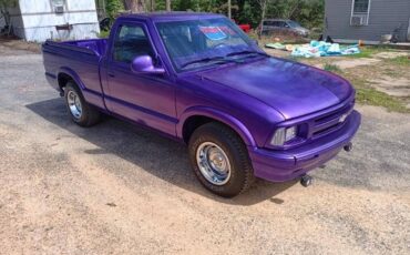 95-s10-chevy-1995-purple-3