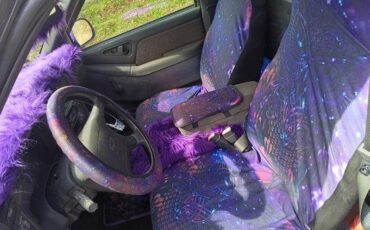 95-s10-chevy-1995-purple-6