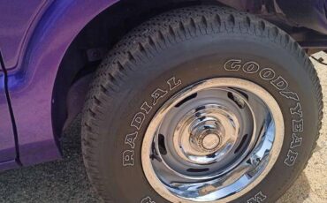 95-s10-chevy-1995-purple-7