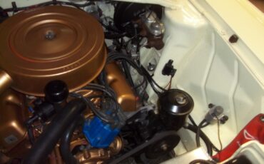 AMC-AMX-1966-Hardtop-19