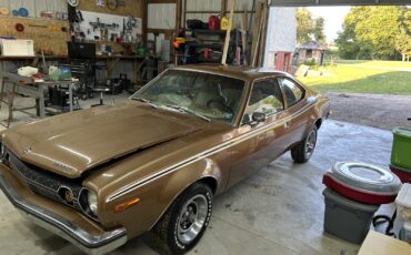 AMC-Hornet-1973-Coupe-1