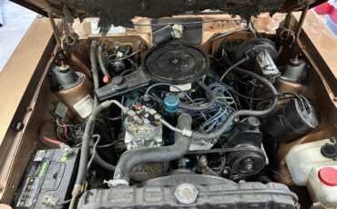 AMC-Hornet-1973-Coupe-17