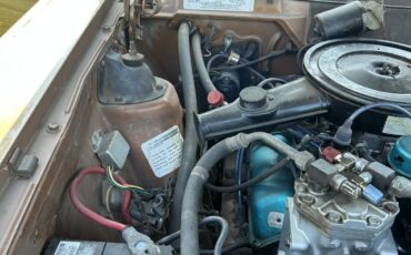 AMC-Hornet-1973-Coupe-19