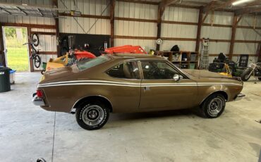 AMC-Hornet-1973-Coupe-2