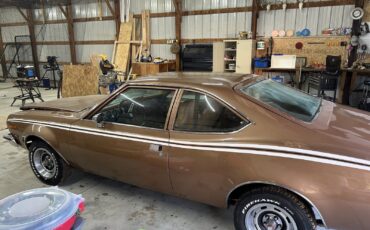 AMC-Hornet-1973-Coupe-3
