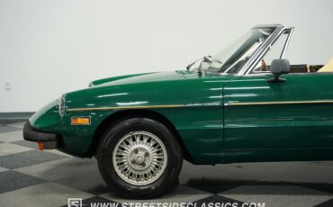 Alfa-Romeo-Spider-1978-Convertible-20