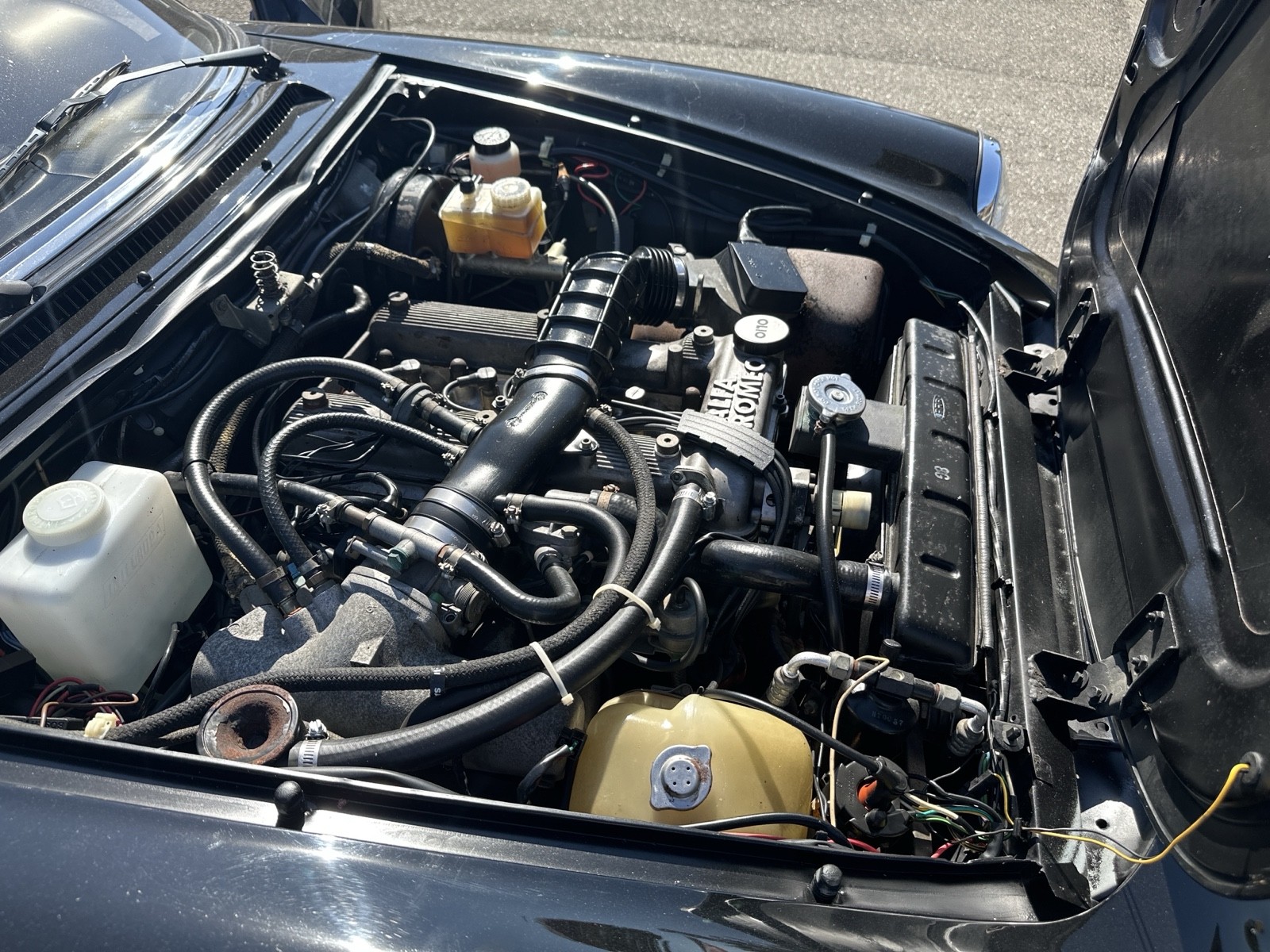 Alfa-Romeo-Spider-1989-Convertible-24