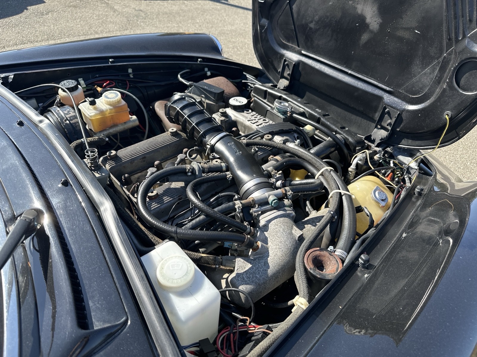 Alfa-Romeo-Spider-1989-Convertible-25
