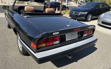Alfa-Romeo-Spider-1989-Convertible-4