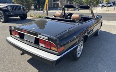 Alfa-Romeo-Spider-1989-Convertible-6