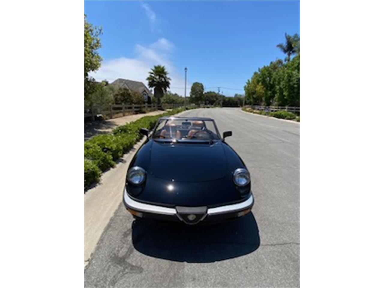 Alfa-romeo-2000-spider-veloce-1988-Black-Tan-1