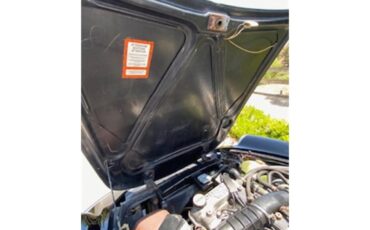 Alfa-romeo-2000-spider-veloce-1988-Black-Tan-11