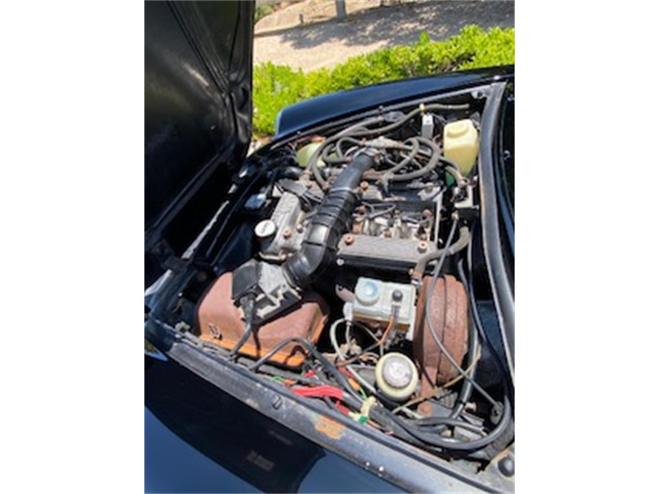 Alfa-romeo-2000-spider-veloce-1988-Black-Tan-12