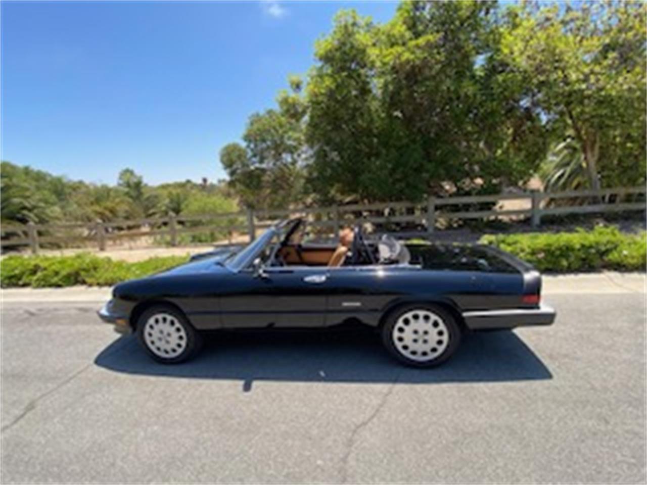Alfa-romeo-2000-spider-veloce-1988-Black-Tan-2