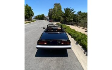 Alfa-romeo-2000-spider-veloce-1988-Black-Tan-3