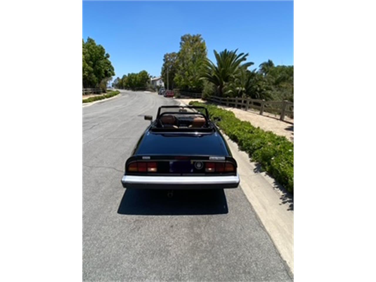 Alfa-romeo-2000-spider-veloce-1988-Black-Tan-3