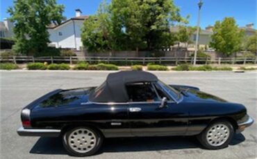 Alfa-romeo-2000-spider-veloce-1988-Black-Tan-4