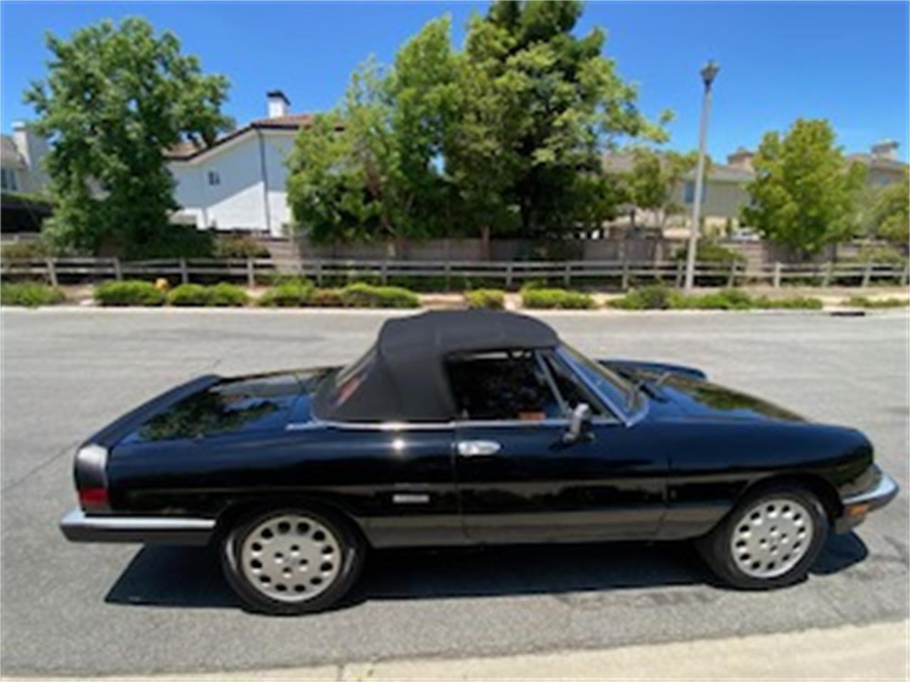 Alfa-romeo-2000-spider-veloce-1988-Black-Tan-4
