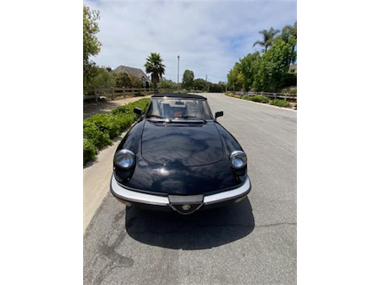 Alfa-romeo-2000-spider-veloce-1988-Black-Tan-5