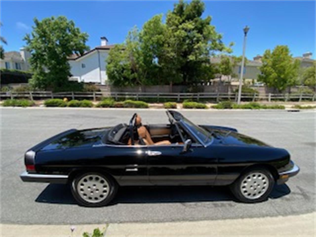 Alfa-romeo-2000-spider-veloce-1988-Black-Tan