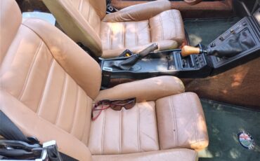 Alfa-romeo-Spider-1989-Burgundy-black-and-tan-14