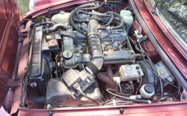 Alfa-romeo-Spider-1989-Burgundy-black-and-tan-15