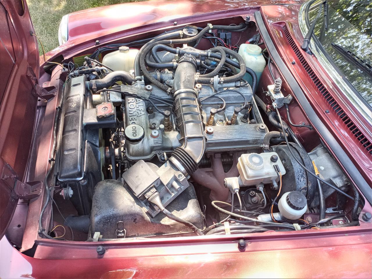 Alfa-romeo-Spider-1989-Burgundy-black-and-tan-15