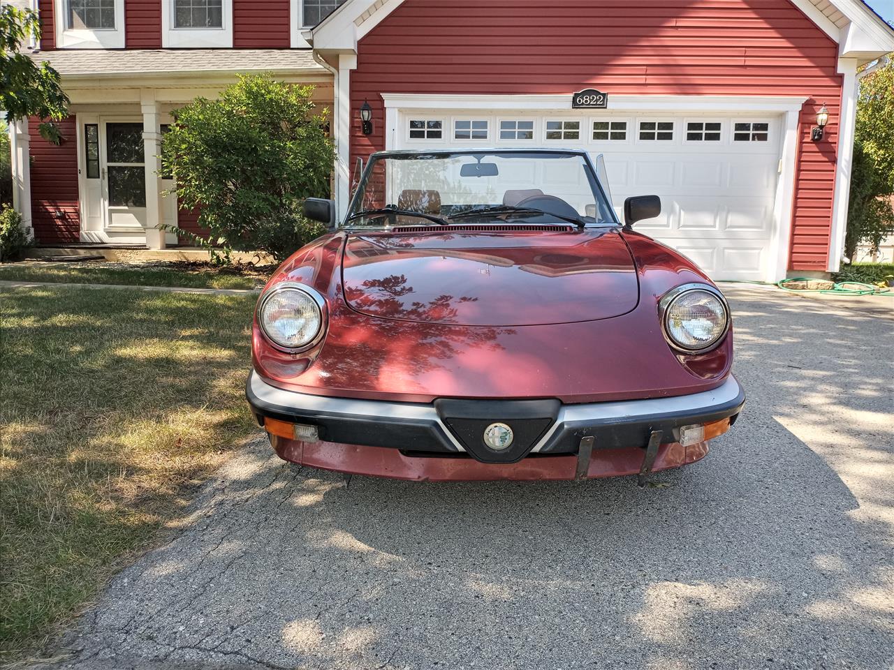 Alfa-romeo-Spider-1989-Burgundy-black-and-tan-3