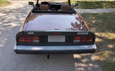 Alfa-romeo-Spider-1989-Burgundy-black-and-tan-4