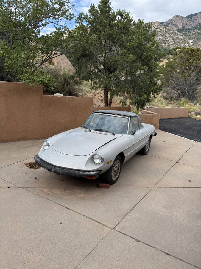 Alfa-romeo-spider-1978-silver-1