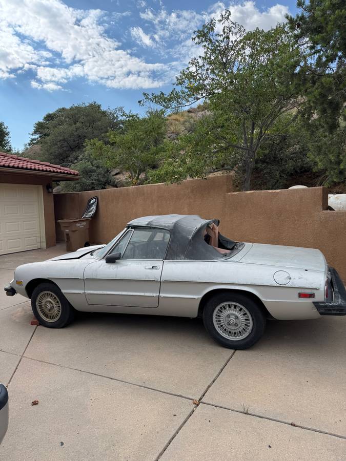 Alfa-romeo-spider-1978-silver-11