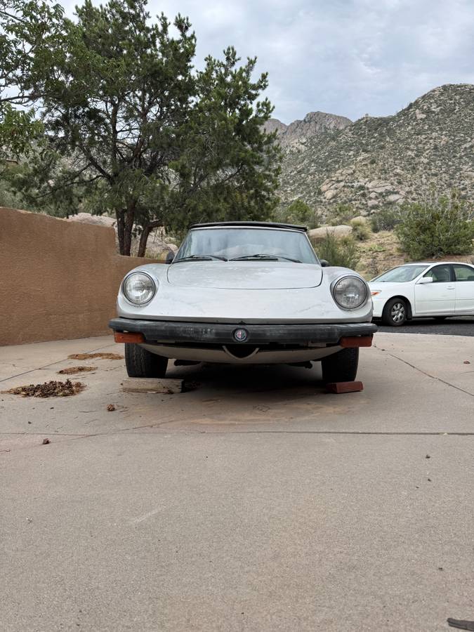 Alfa-romeo-spider-1978-silver-4