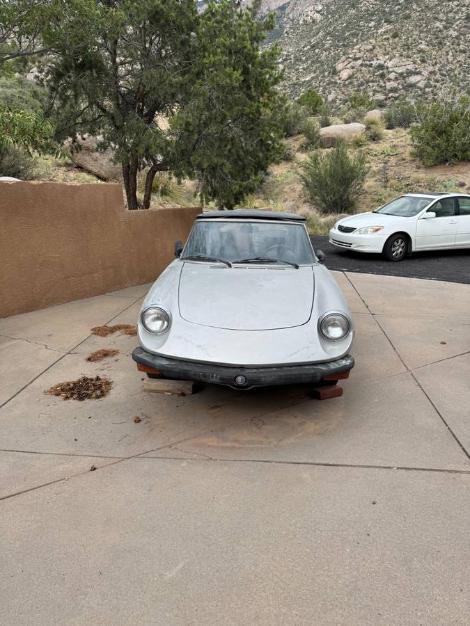 Alfa-romeo-spider-1978-silver-7