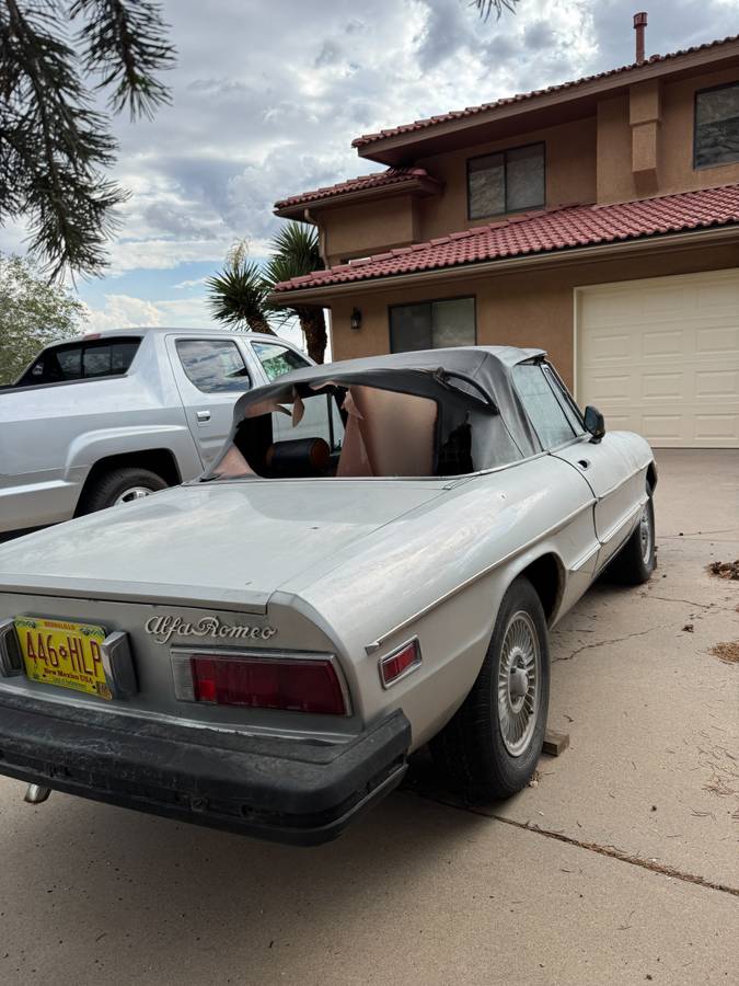 Alfa-romeo-spider-1978-silver-9
