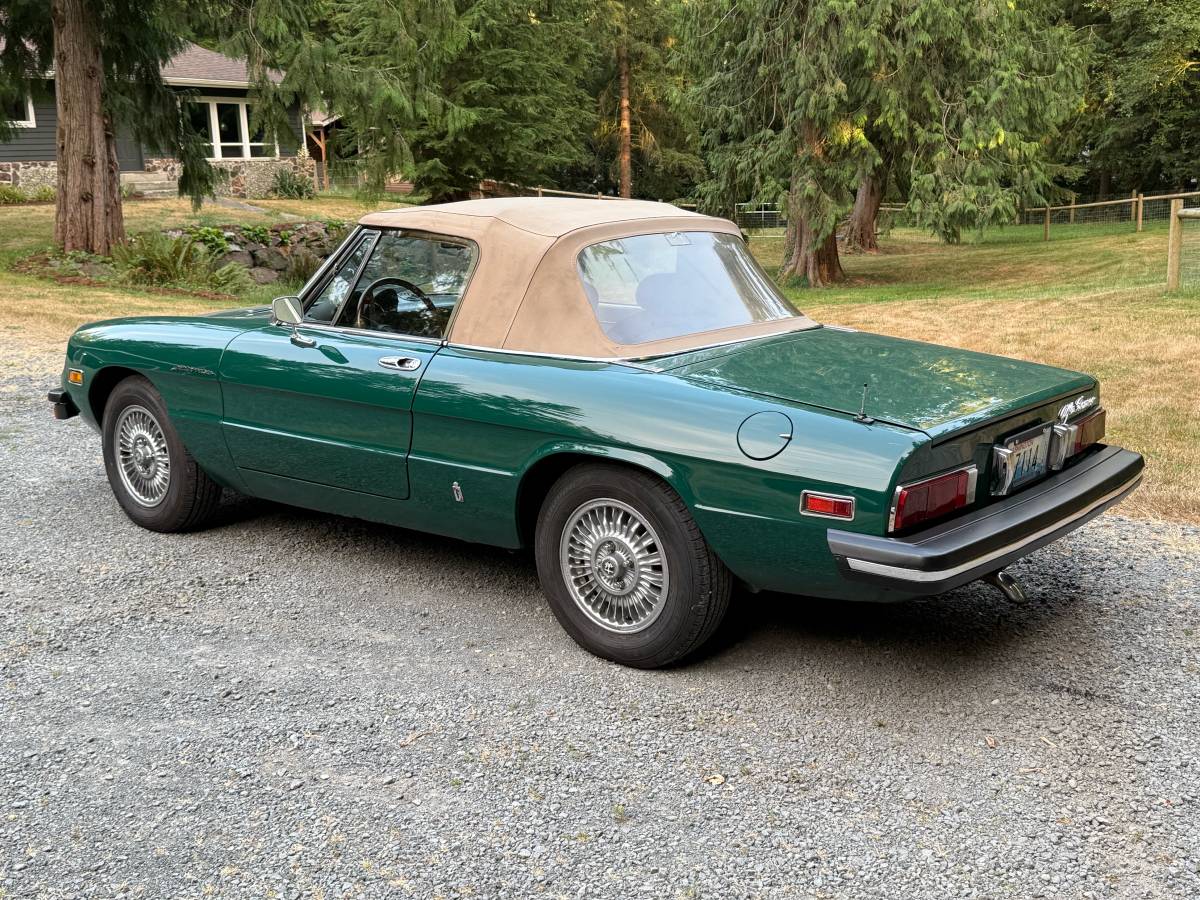 Alfa-romeo-spider-1979-green-10