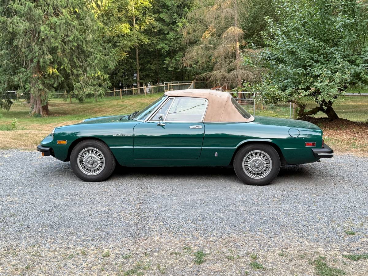 Alfa-romeo-spider-1979-green-11