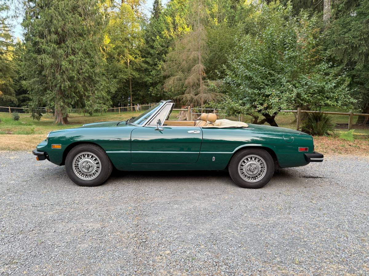 Alfa-romeo-spider-1979-green-17