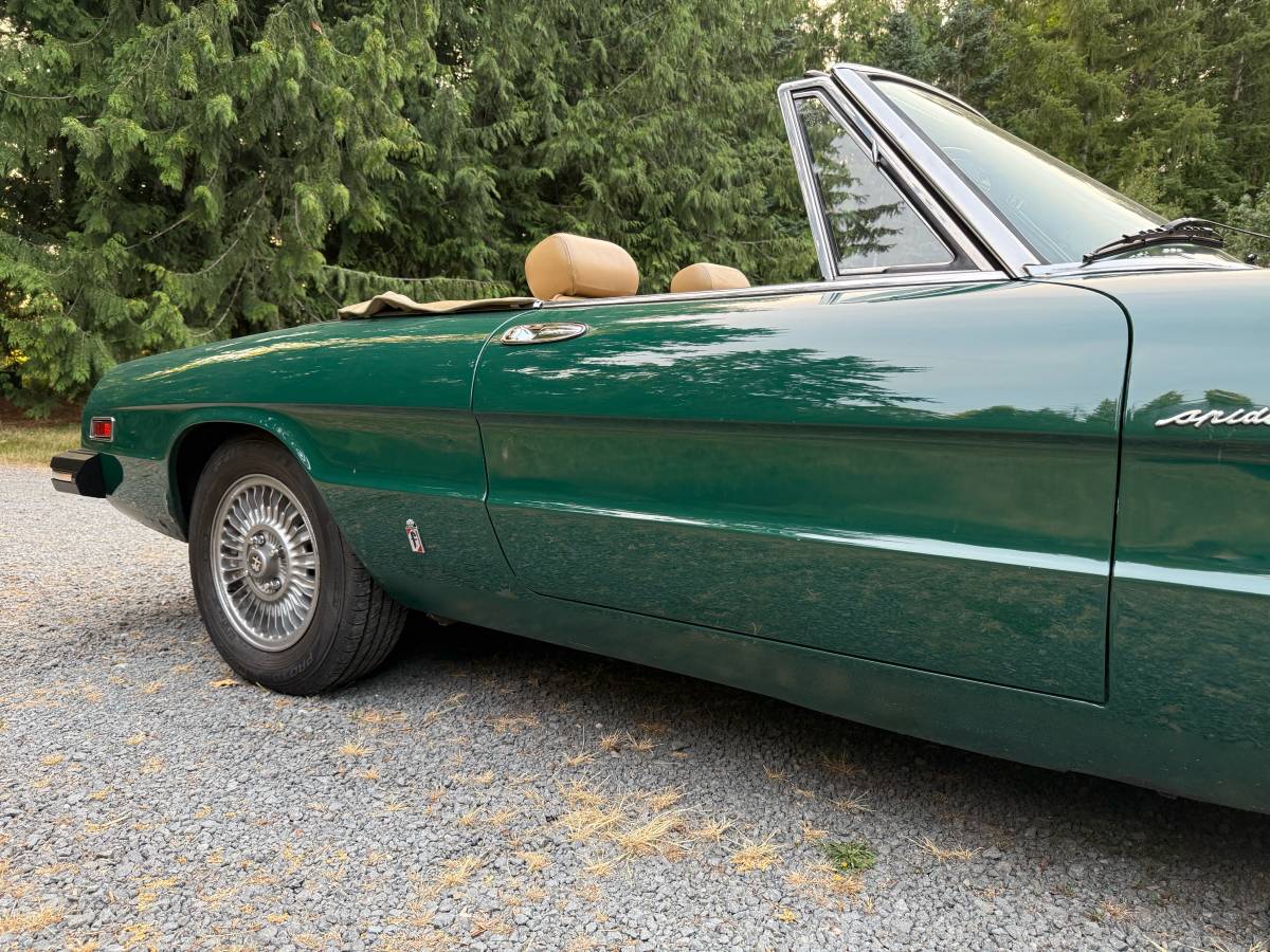Alfa-romeo-spider-1979-green-4
